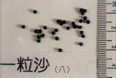 one_sand_2_副本.jpg
