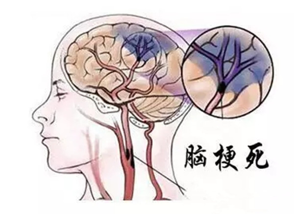 640.webp (2)_副本.jpg