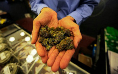 大麻和麻古是一种吗