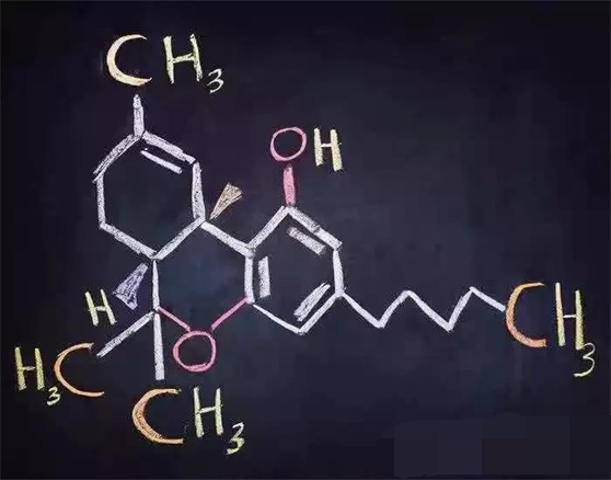 <b>穿上马甲的合成大麻素类物质，比大麻更可怕！</b>