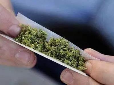 <b>“入门毒品”大麻长期滥用会影响智商！</b>