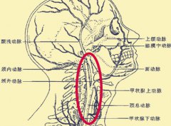 玩命的吸毒方式“开天窗”