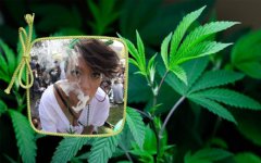 “大麻”是与青春有关的错误!
