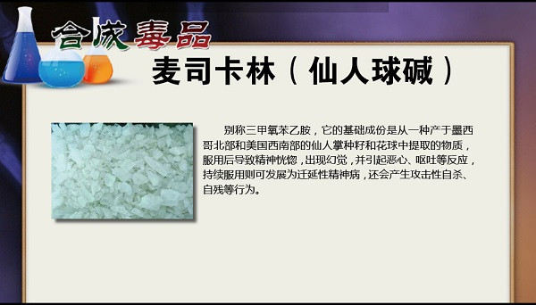 麦司卡林(致幻剂)